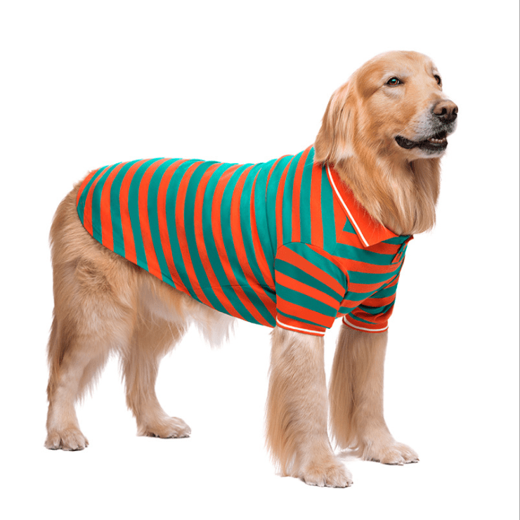 Dogs and Cats Boutique 3 Striped Polo Shirt