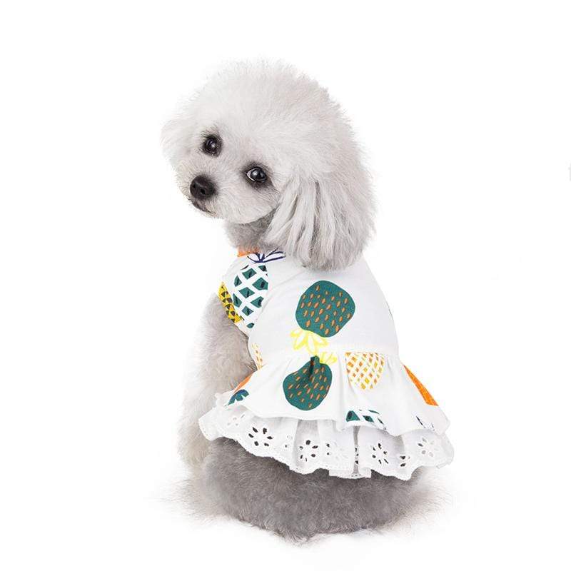 Dogs and Cats Boutique 3 White / B / M Pineapple Printed Dog Dress