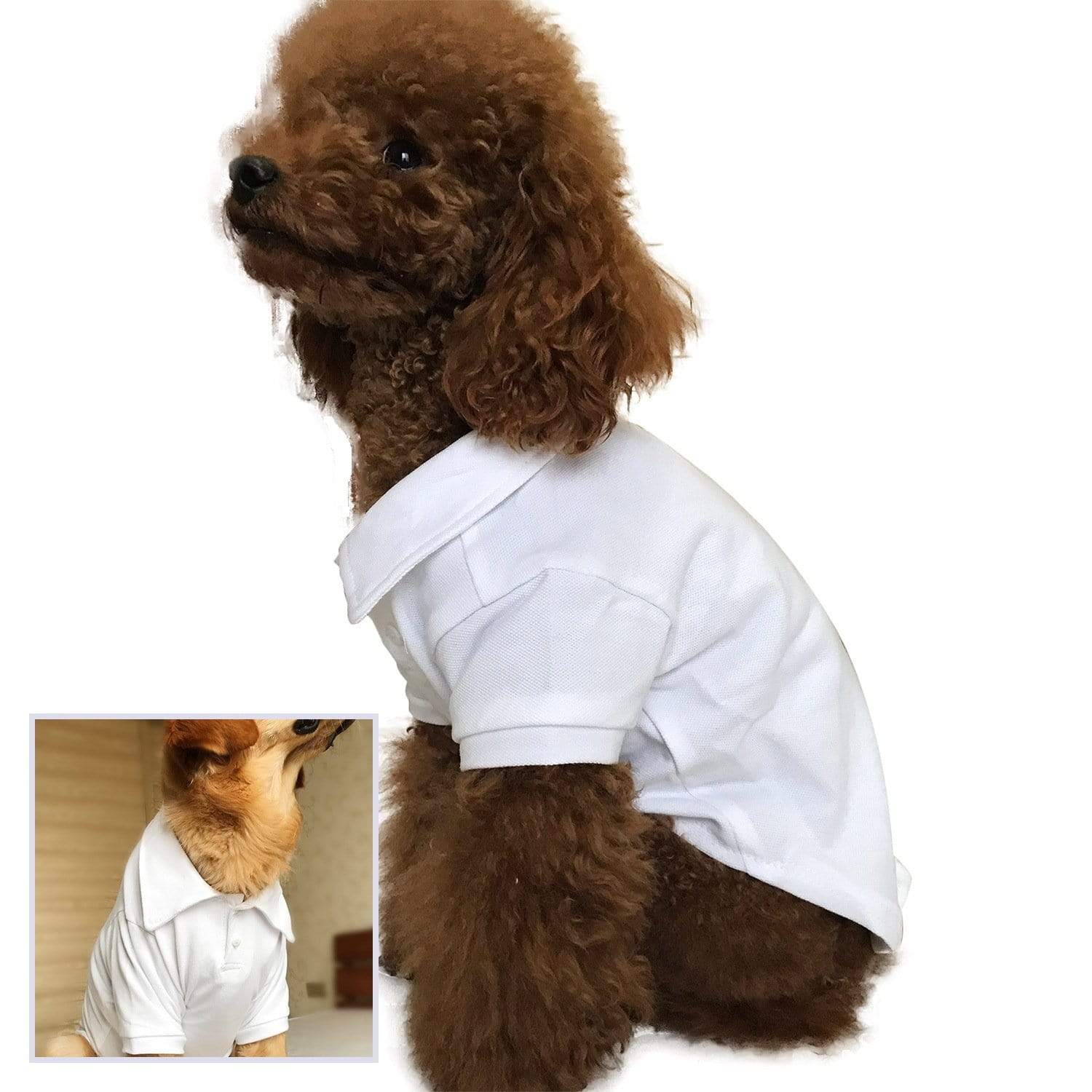 Dogs and Cats Boutique 3 White / S Casual Dog Polo Shirt