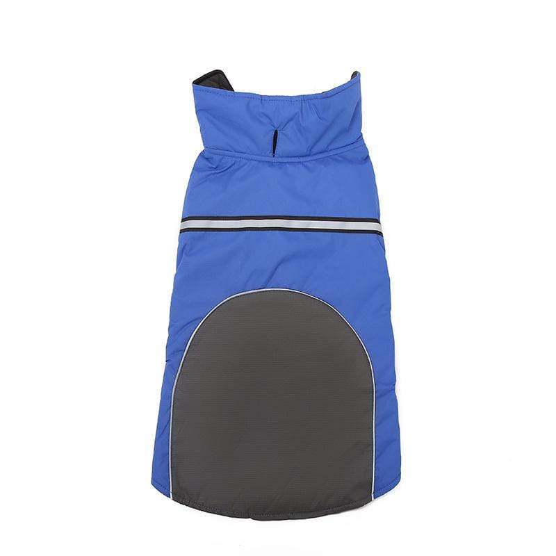 Dogs and Cats Boutique 5 Blue / S Outdoor Sports Waterproof Jacket