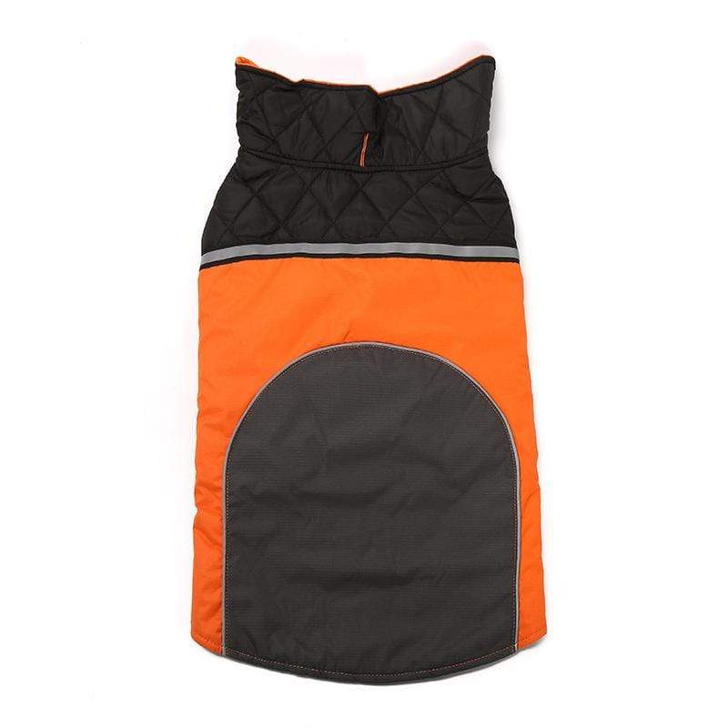 Dogs and Cats Boutique 5 Orange / S Outdoor Sports Waterproof Jacket