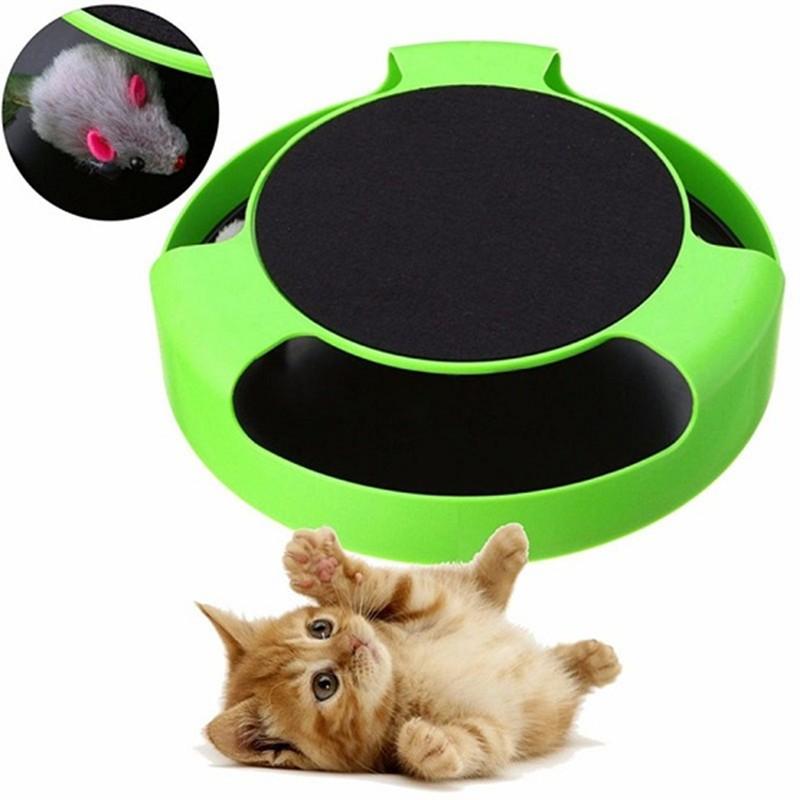 Dogs and Cats Boutique pet-toys Green Interactive Running Mouse Cat Toy