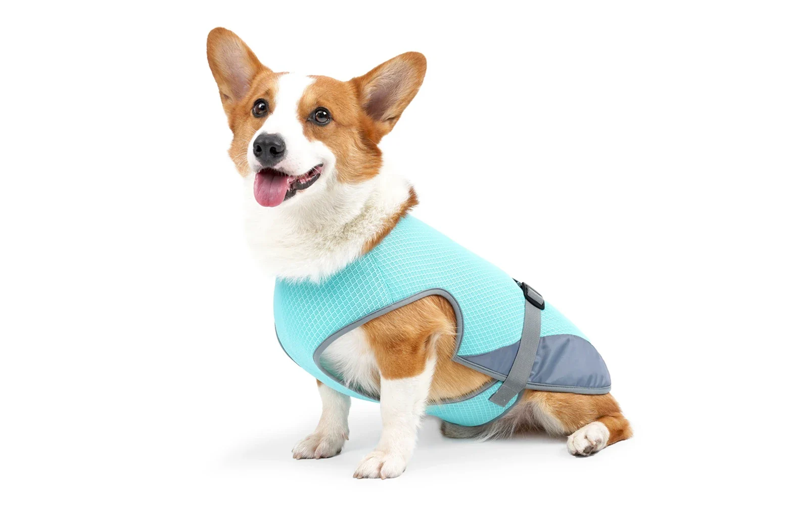 Spring / Summer Vests and Raincoats