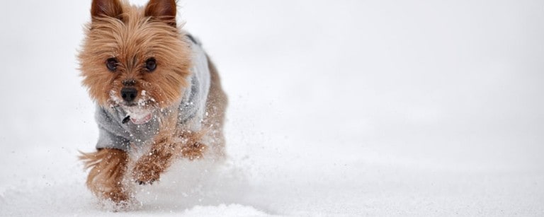 Fall Winter Female Coats