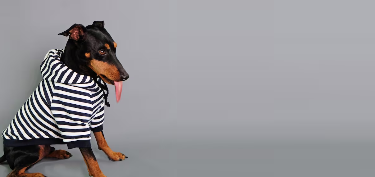 Fall Winter Male Sweaters