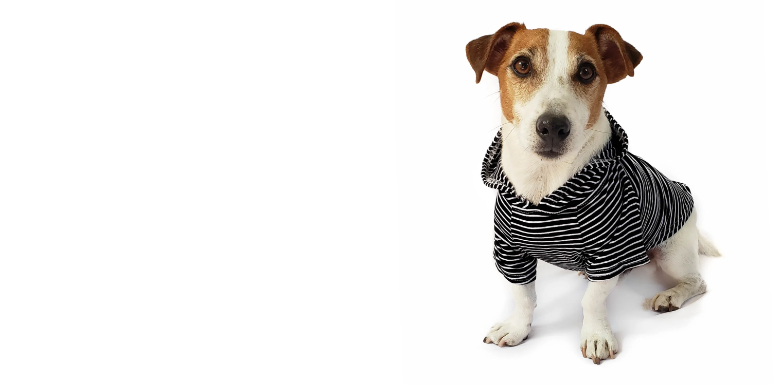 Fall Winter Unisex Sweaters