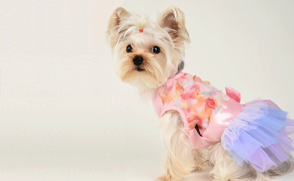 Spring Summer Female T Shirts