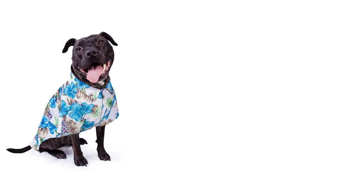 Spring Summer Male T Shirts