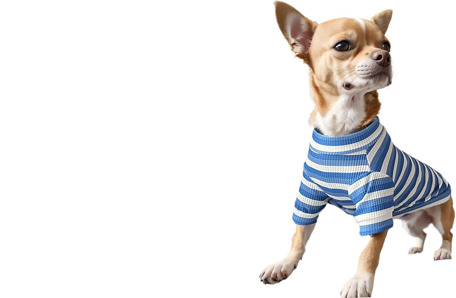 Spring Summer Unisex T Shirts