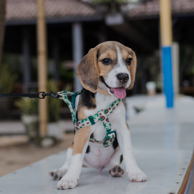 Best Selling Products