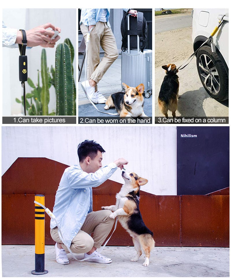 Dogs and Cats Boutique 10 Nylon Small And Medium Pet Dog Elastic Leash (To Get Done)