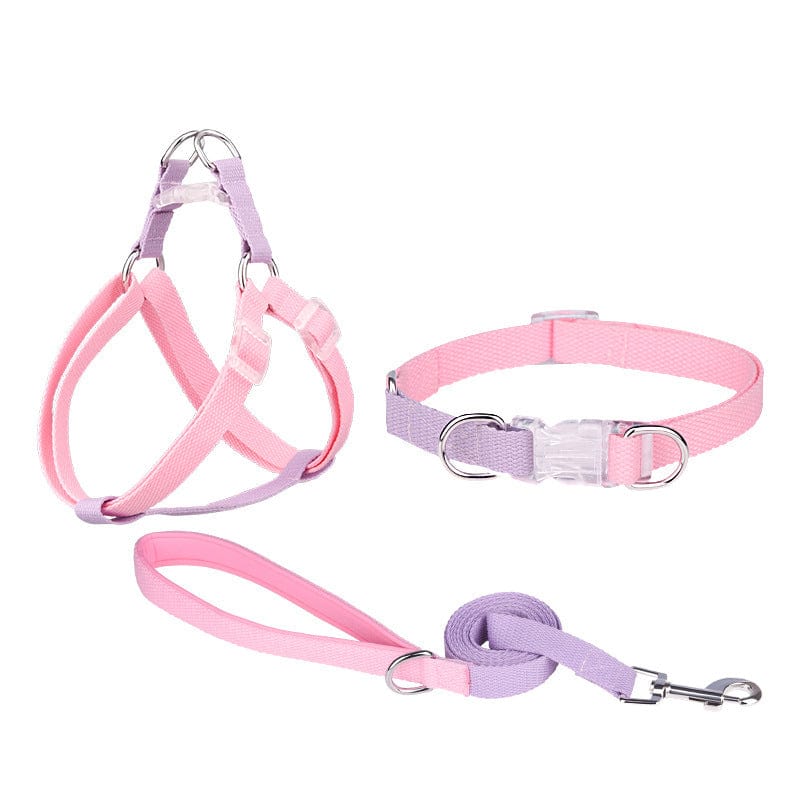 Dogs and Cats Boutique 11 3PCs Set Pink Purple / M Polyester Ribbon Dog Collar Pet Hand Holding Rope (To Get Done)