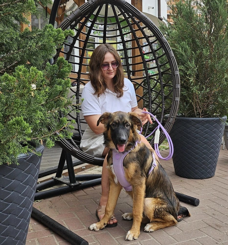 Dogs and Cats Boutique 11 BiteGuard Harness, Collar & Leash Set