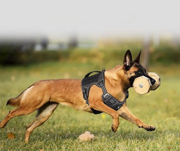 Dogs and Cats Boutique 11 K9Command Tactical Harness