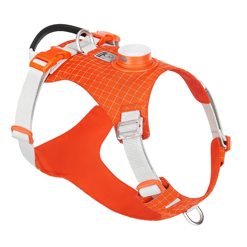 Dogs and Cats Boutique 11 Orange / L Dog Chest Harness Traction LED Outdoor Night Light (To Get Done)