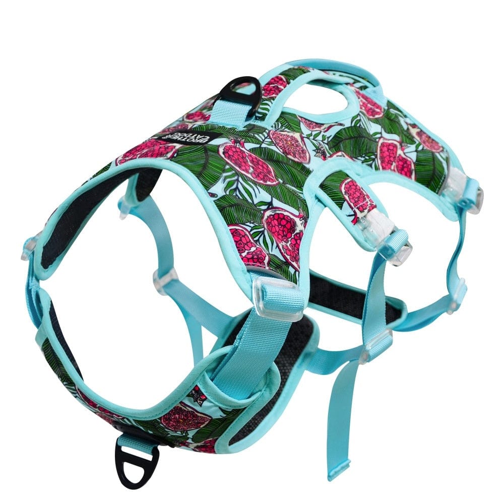 Dogs and Cats Boutique 11 Pomegranate Color / L Comfortable Liftable Night Reflective Pet Supplies Dog's Straps (To Get Done)