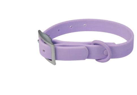 Dogs and Cats Boutique 11 Purple / L / Collar Pet Collar Anti-fouling Bite Dog Leash Set Waldonex (To Get Done)