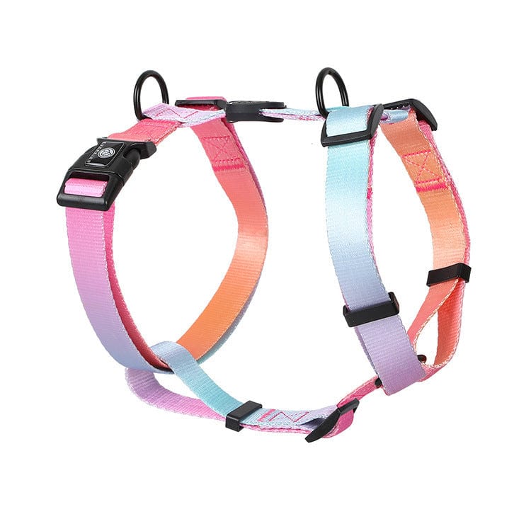 Dogs and Cats Boutique 11 Summer Neon / S Gradient Color For Pet Chest Straps (To Get Done)