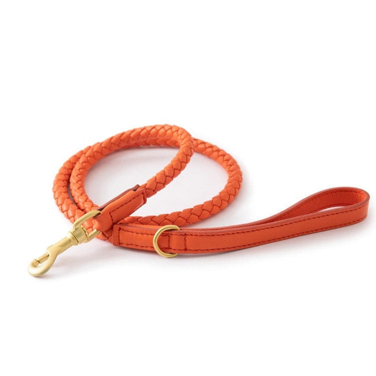 Dogs and Cats Boutique 12 Amber orange single rope / L High-end Large Dog Collar Sturdy Netflix Ke Foundation Hair Pet (To Get Done)