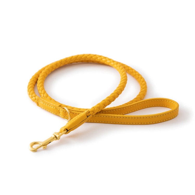 Dogs and Cats Boutique 12 Aylight yellow single rope / L High-end Large Dog Collar Sturdy Netflix Ke Foundation Hair Pet (To Get Done)