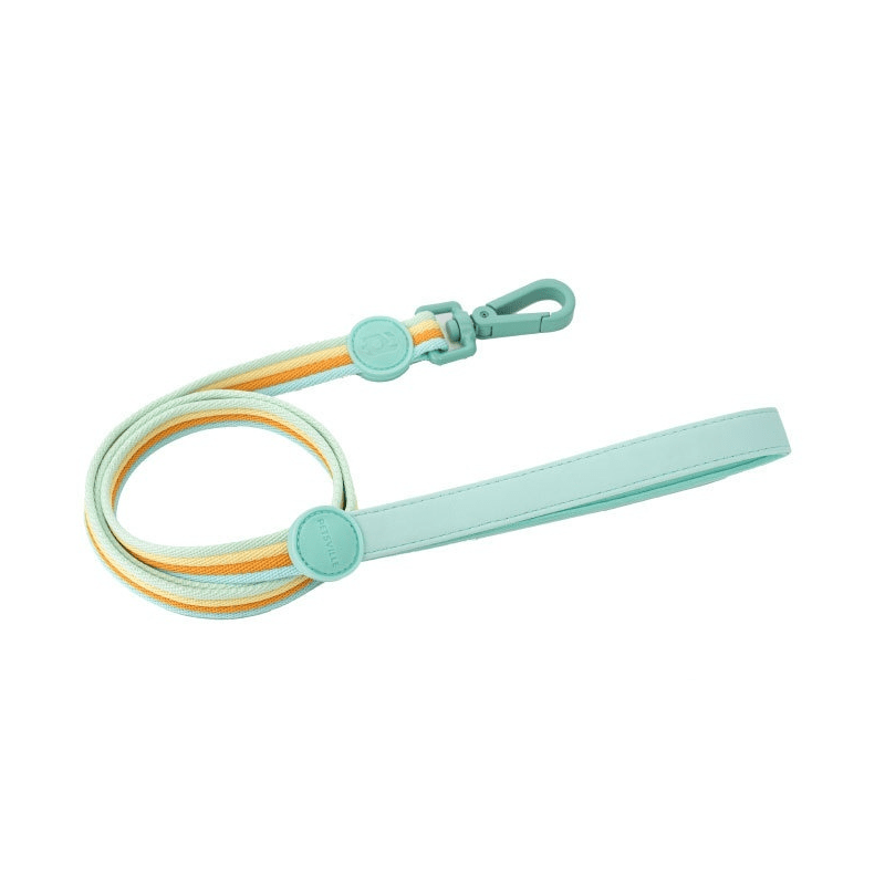 Dogs and Cats Boutique 12 Mint Leash / M Retro Record Hand Holding Rope Small And Medium-sized Dogs Collar Vest (To Get Done)