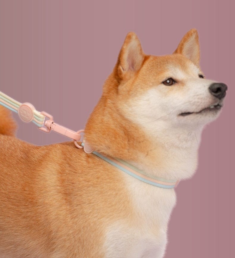 Dogs and Cats Boutique 12 Retro Record Hand Holding Rope Small And Medium-sized Dogs Collar Vest (To Get Done)