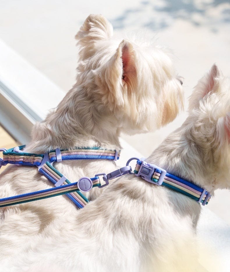 Dogs and Cats Boutique 12 Retro Record Hand Holding Rope Small And Medium-sized Dogs Collar Vest (To Get Done)