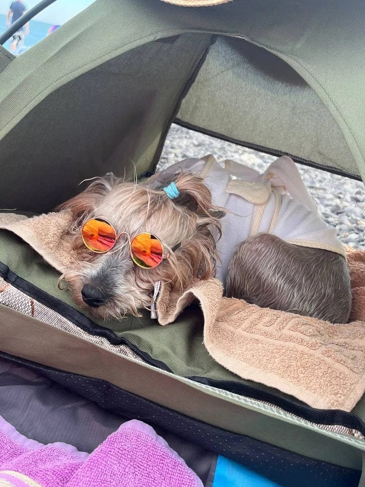 Dogs and Cats Boutique 16 Washable Pet Tent Bed