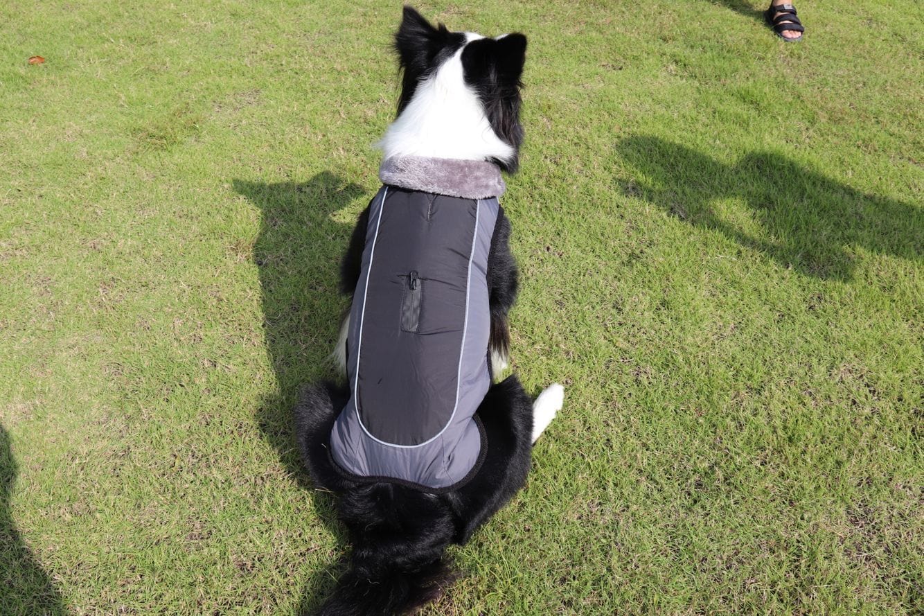 Dogs and Cats Boutique 5 Black / XS Thick Padded Reflective Dog Coat
