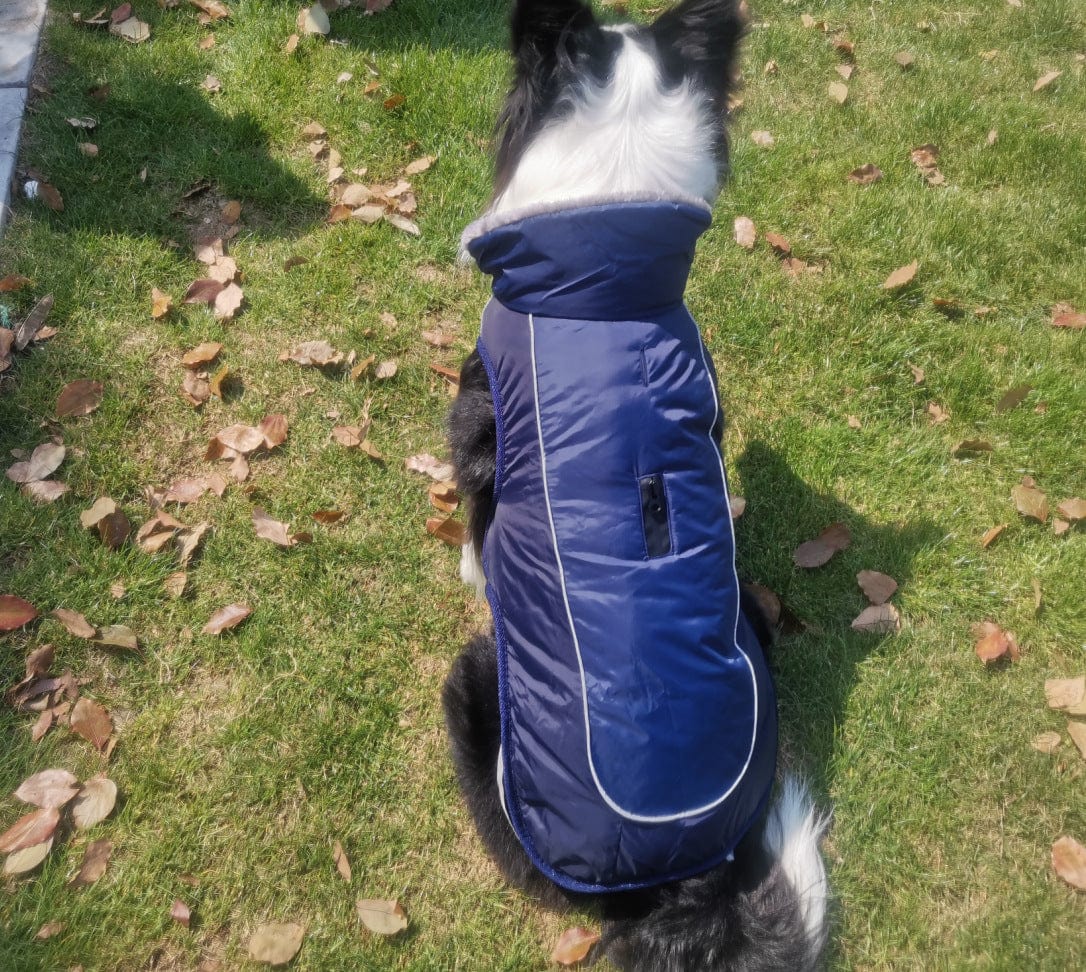 Dogs and Cats Boutique 5 Dark Blue / XS Thick Padded Reflective Dog Coat