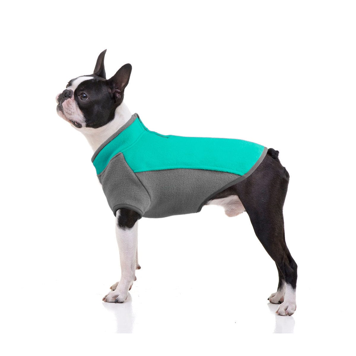 Dogs and Cats Boutique 5 Mars Green / L Dog Clothes Autumn And Winter Thickened Warmth Stretch (To Get Done)