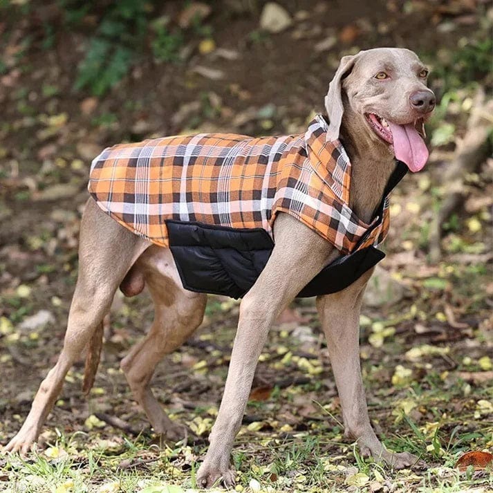 Dogs and Cats Boutique 5 PlaidShield Waterproof Dog Jacket