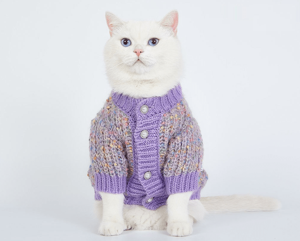 Dogs and Cats Boutique 6 Dog Clothes Sweater Soft Glutinous Bean Cardigan (To Get Done)