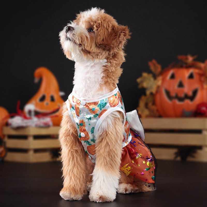 Dogs and Cats Boutique 6 Dog Halloween Dress