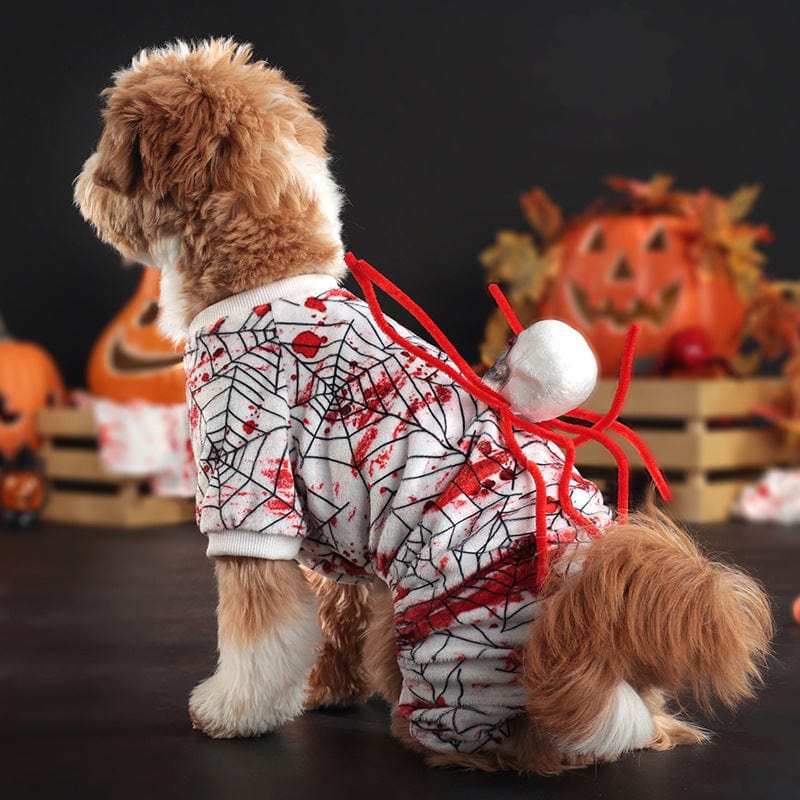 Dogs and Cats Boutique 6 Spider Halloween Dog Costume