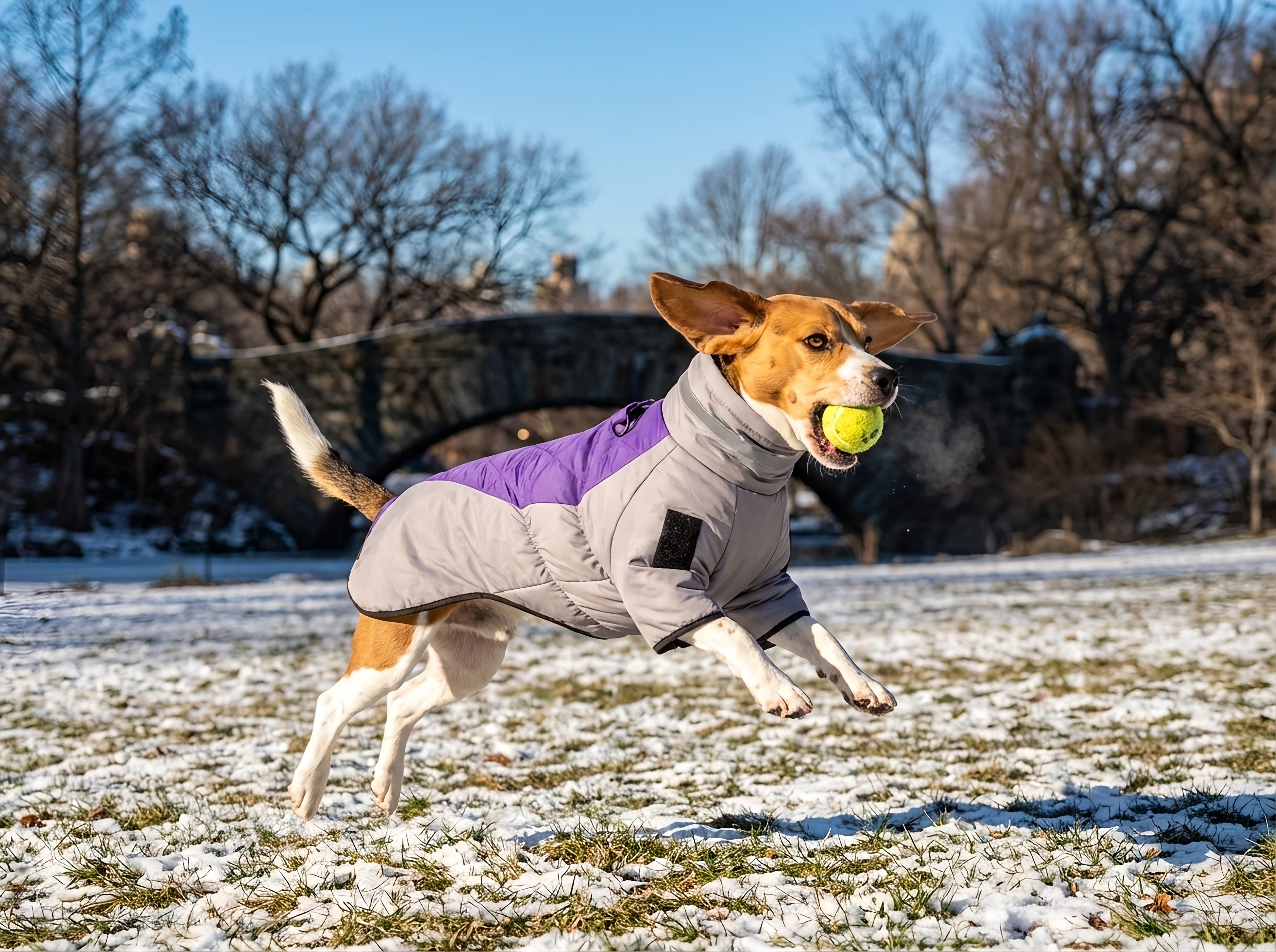 Dogs and Cats Boutique fall-winter-coats Reflective Dog Winter Jacket