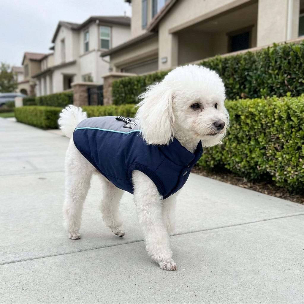 Dogs and Cats Boutique fall-winter-coats Ribbed Hem Dog Jacket