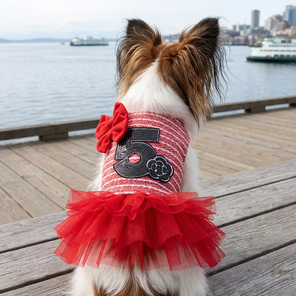 Number 5 Double Bow Tutu Dress