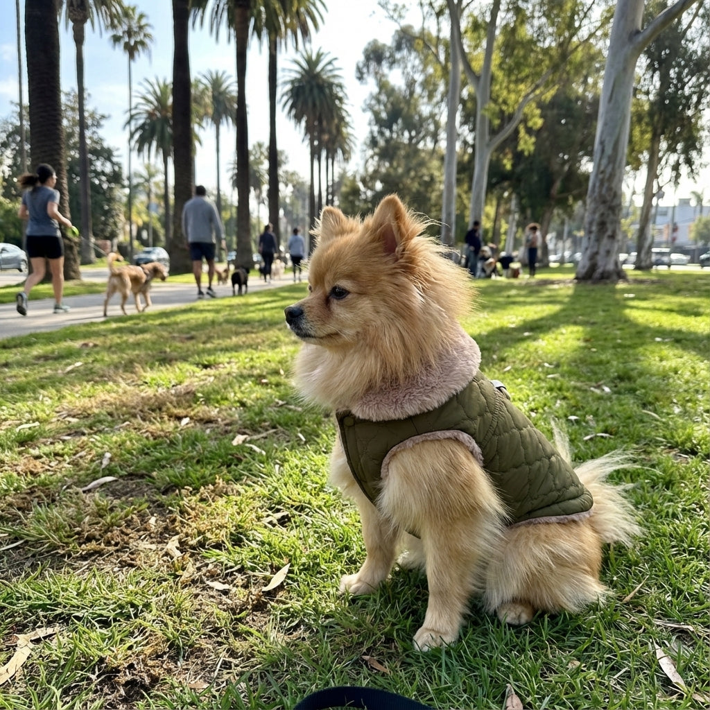 All-Weather Fur-Lined Dog Jacket