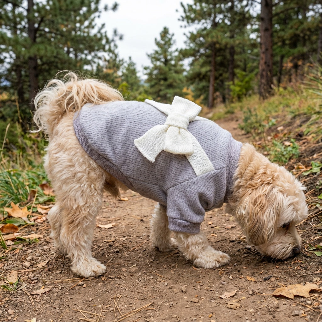 Bowknot Back Knitted Sweater