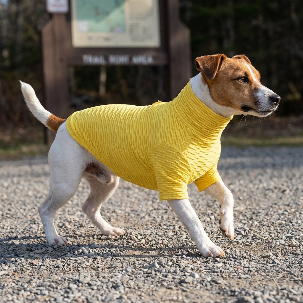 Honey Comb Pattern High Neck Dog Shirt