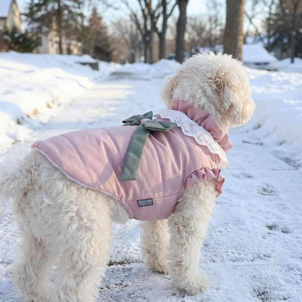 Dazzling Lace Collar Winter Dog Coat