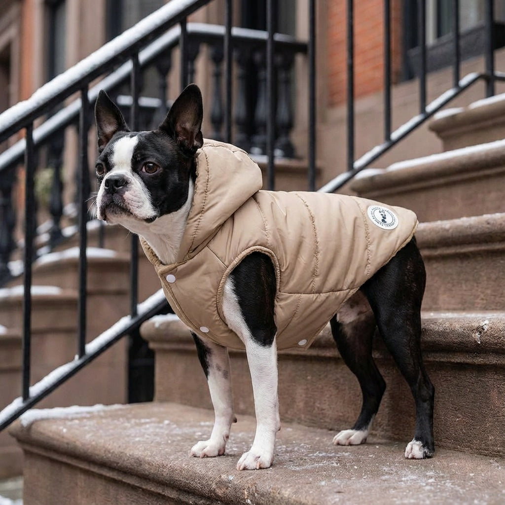 Hooded Ribbed Warm Dog Jacket