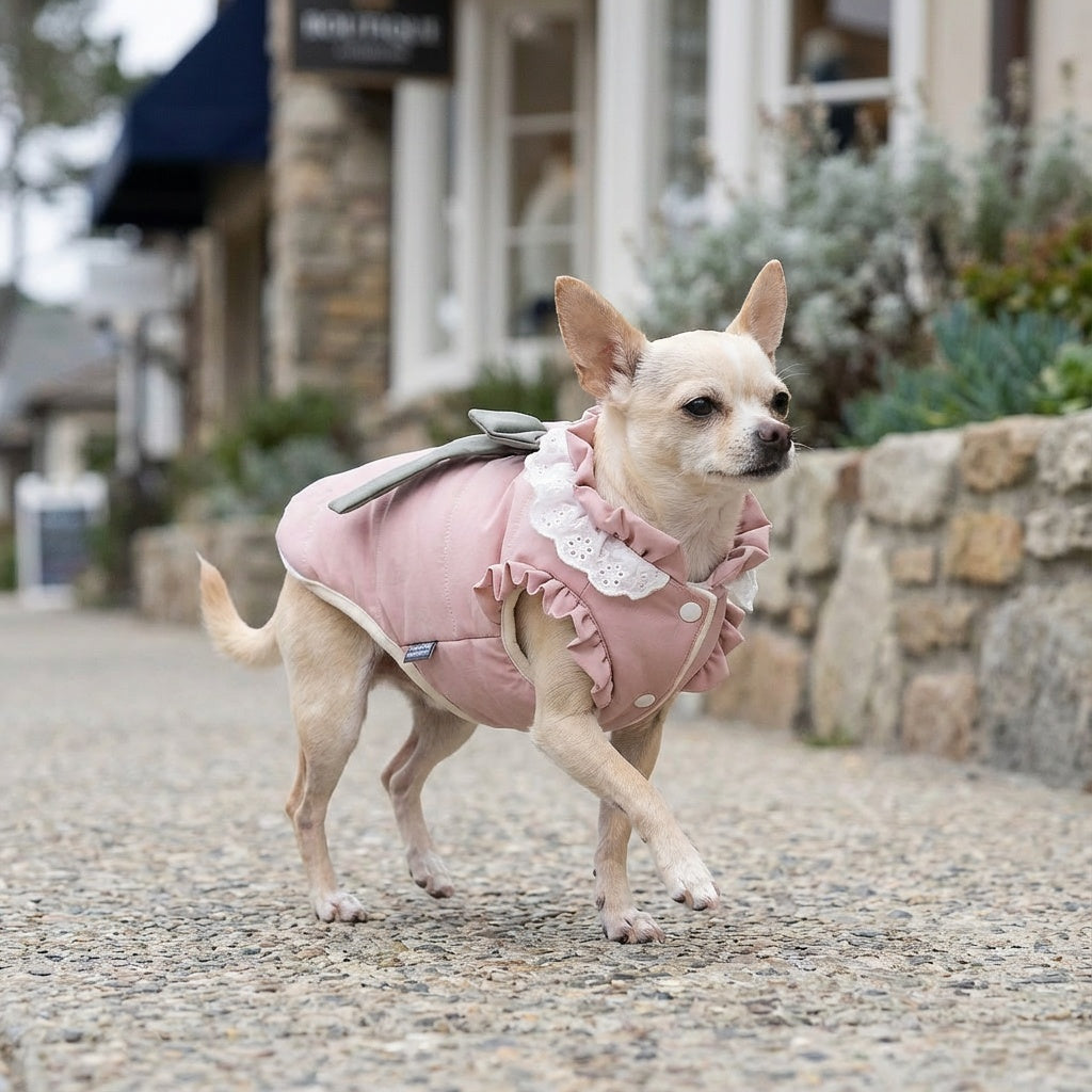 Dazzling Lace Collar Winter Dog Coat