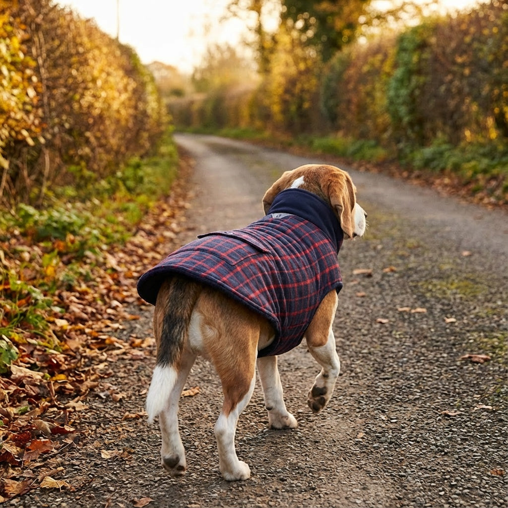 Reflective Charge Dog Winter Coat