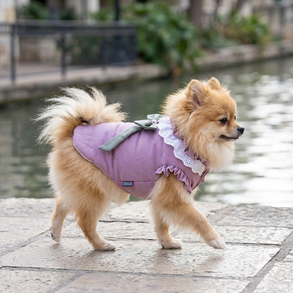 Dazzling Lace Collar Winter Dog Coat