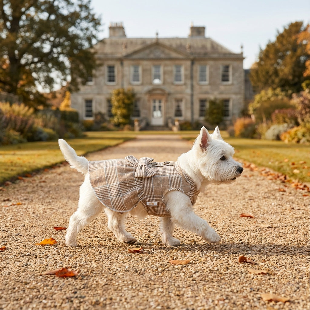Plaid Bowknot Dog Clothes