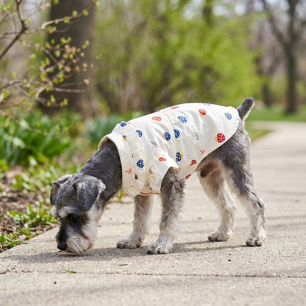 So Lovely Lightweight Shirt Dress