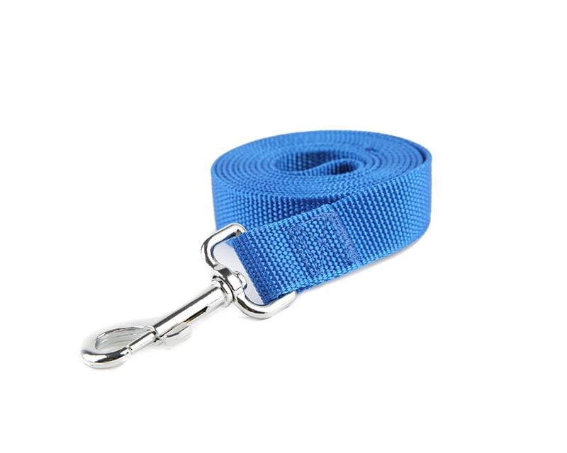 Dogs and Cats Boutique 10 Blue / 5M Reflective Nylon Dog Leash for Medium Sized Pets