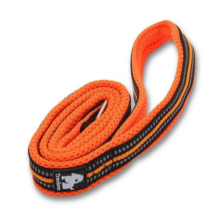 Dogs and Cats Boutique 10 Orange / 2.0CM×200CM Highly Durable Dog Leash